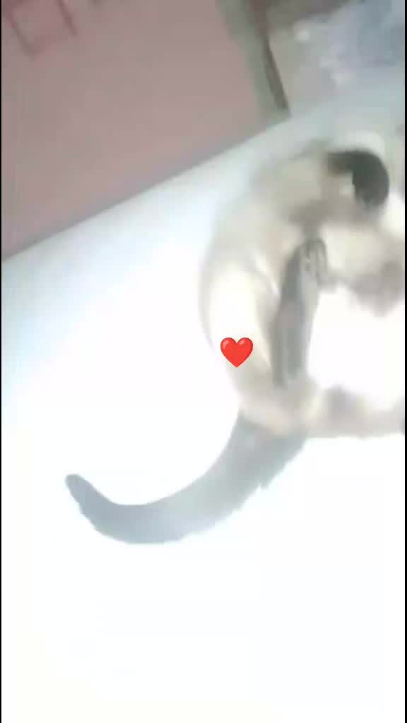 @Dalva Silva