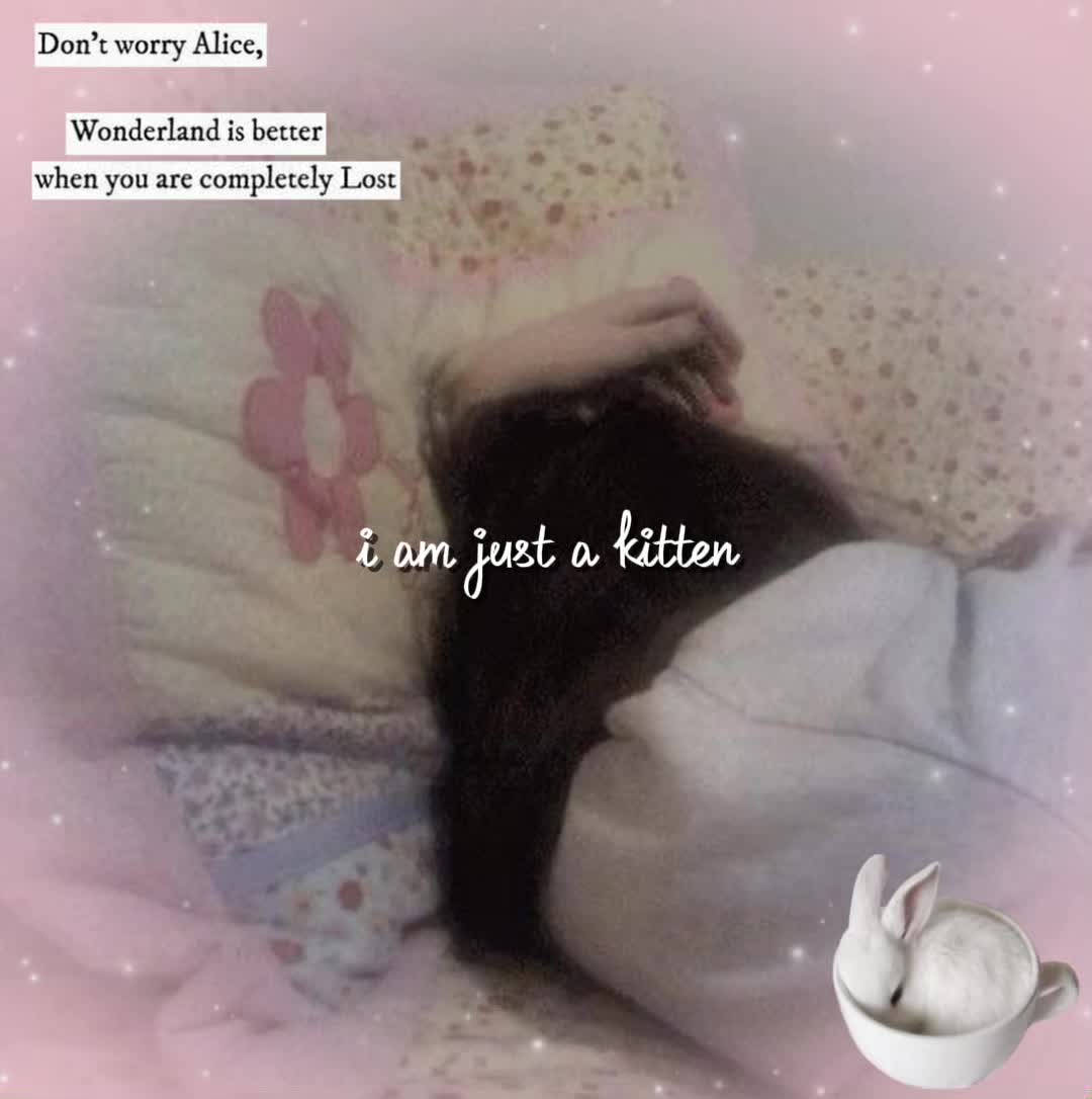 @alice