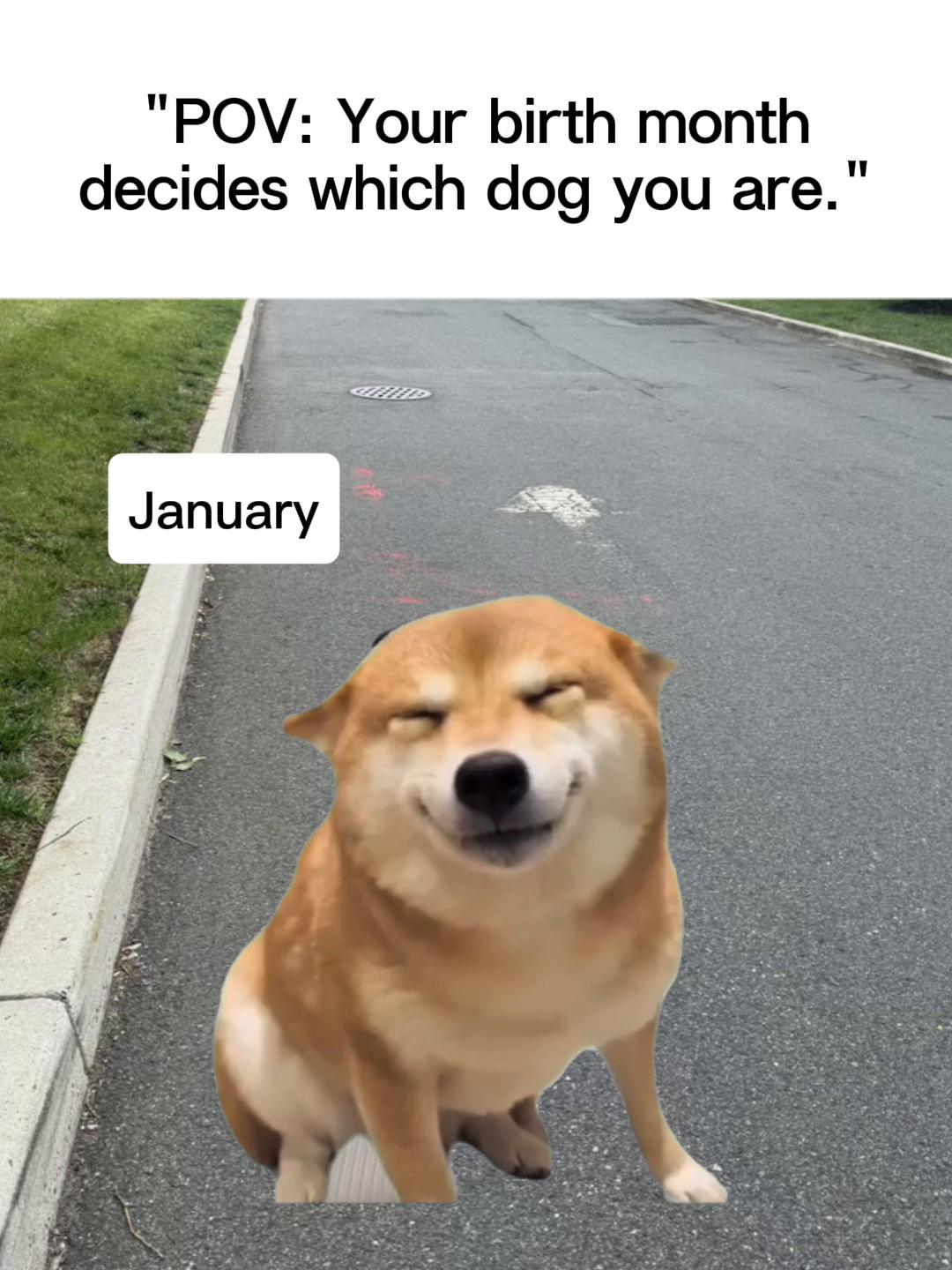 @Taz Zarzuela
