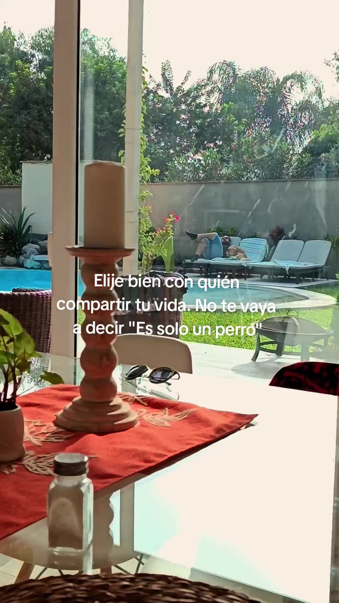 @mireyavmd