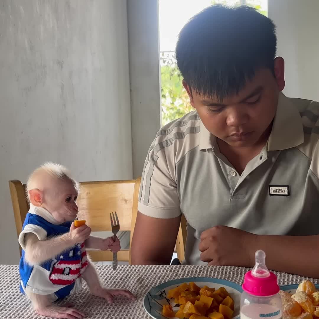 @Monkey TP