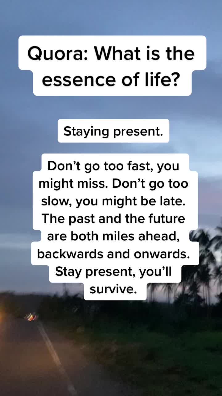 @whatever