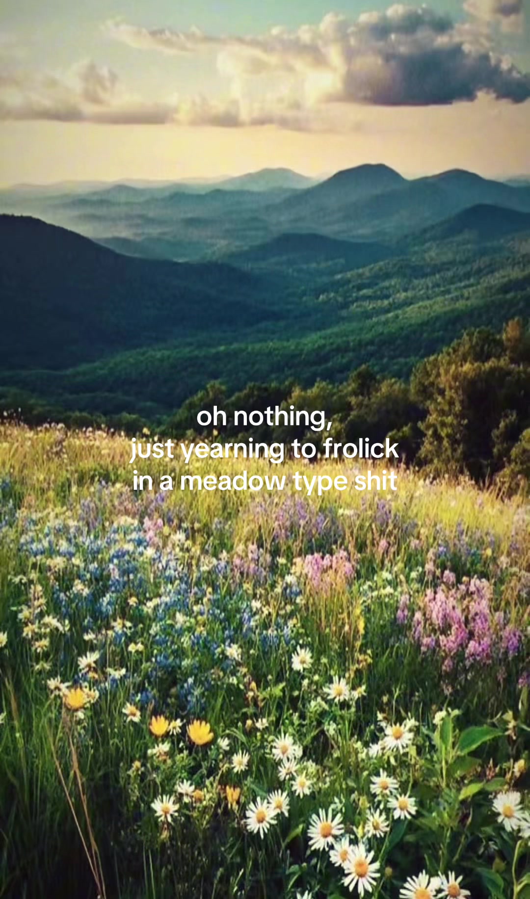@˗ˏˋ𑣲𝑔 ˎˊ˗