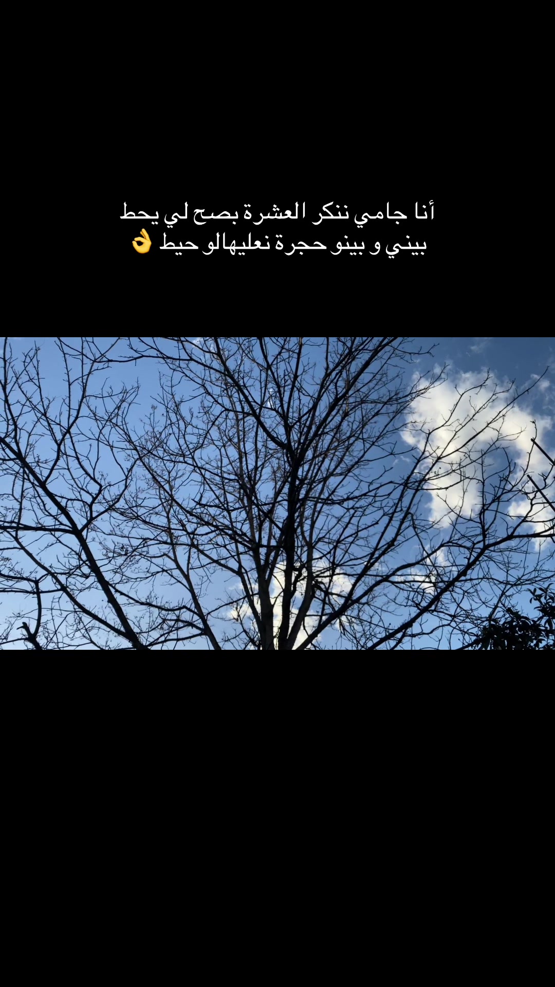 @kenza Shl