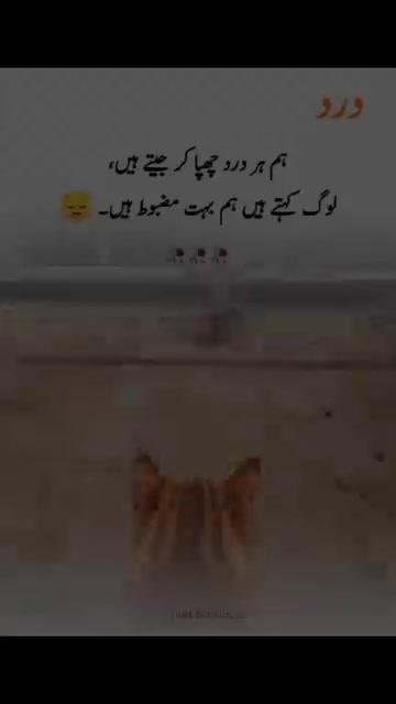 @ranja g 502