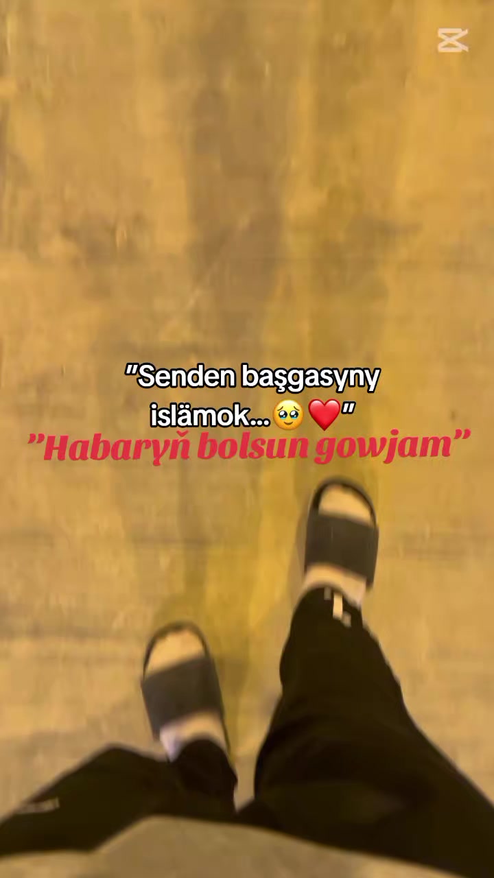 @𝙂𝙖𝙯𝙖𝙠𝙊𝙁𝙁🦈