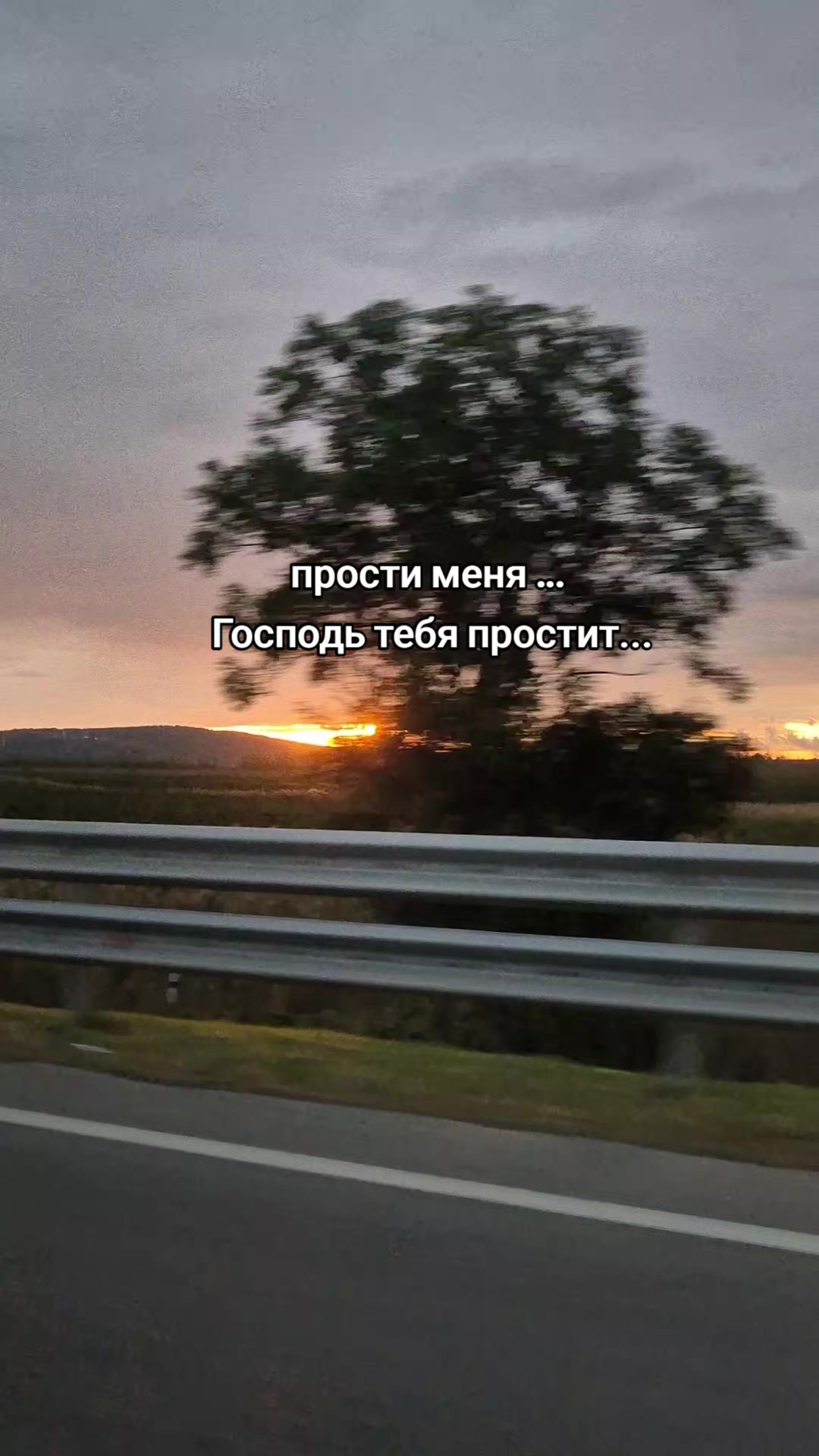 @NARNIASHOP