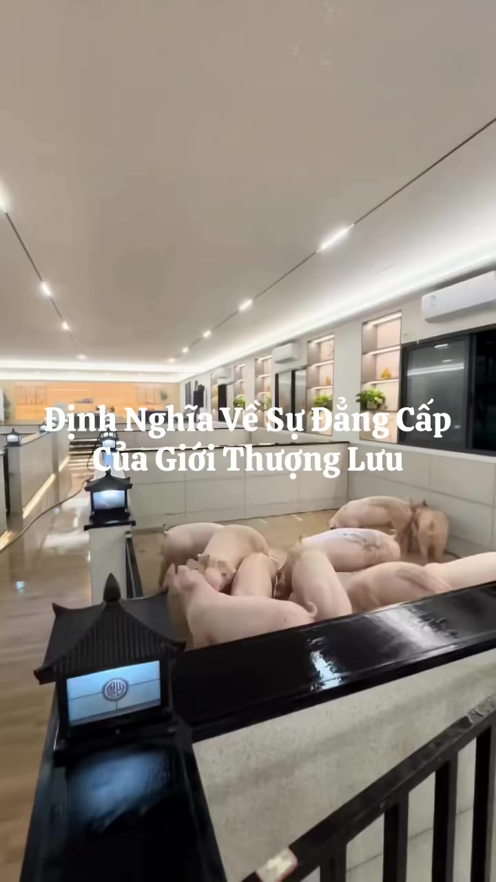 @Nguyễn Đức Tiến