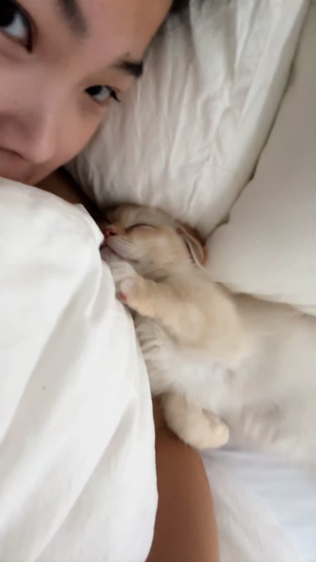 @kat