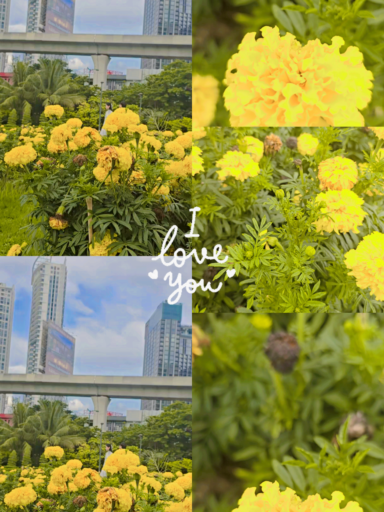 @benben 💚