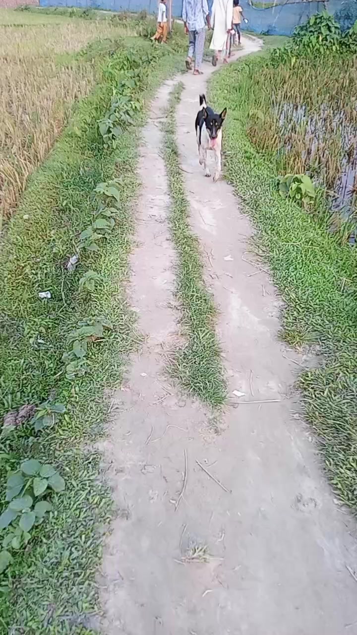 @পথ চলা মুসাফির