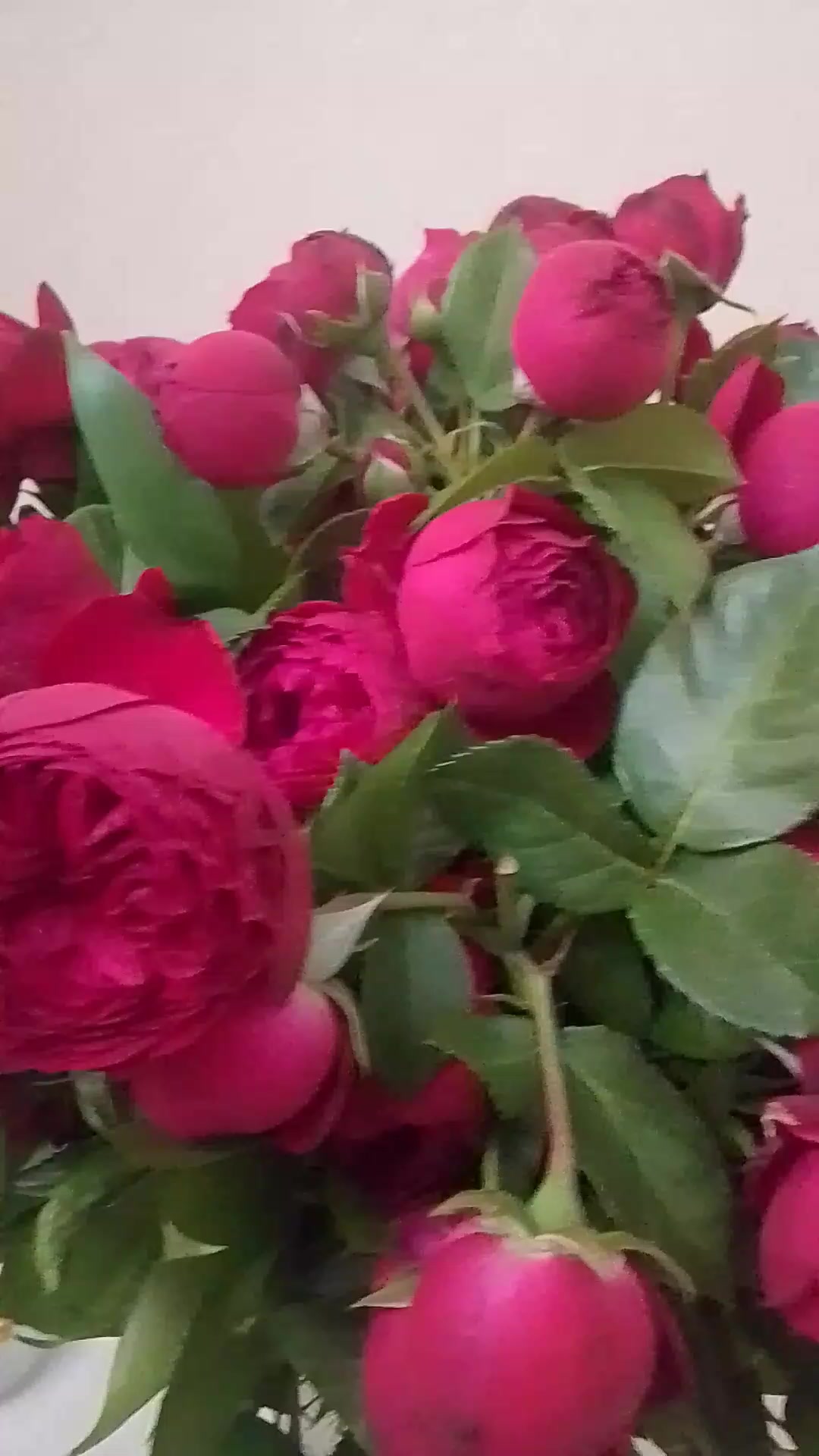 @Gunel Qurbanova
