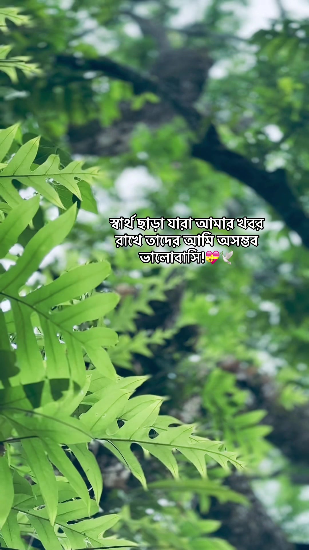 @HABIB_001