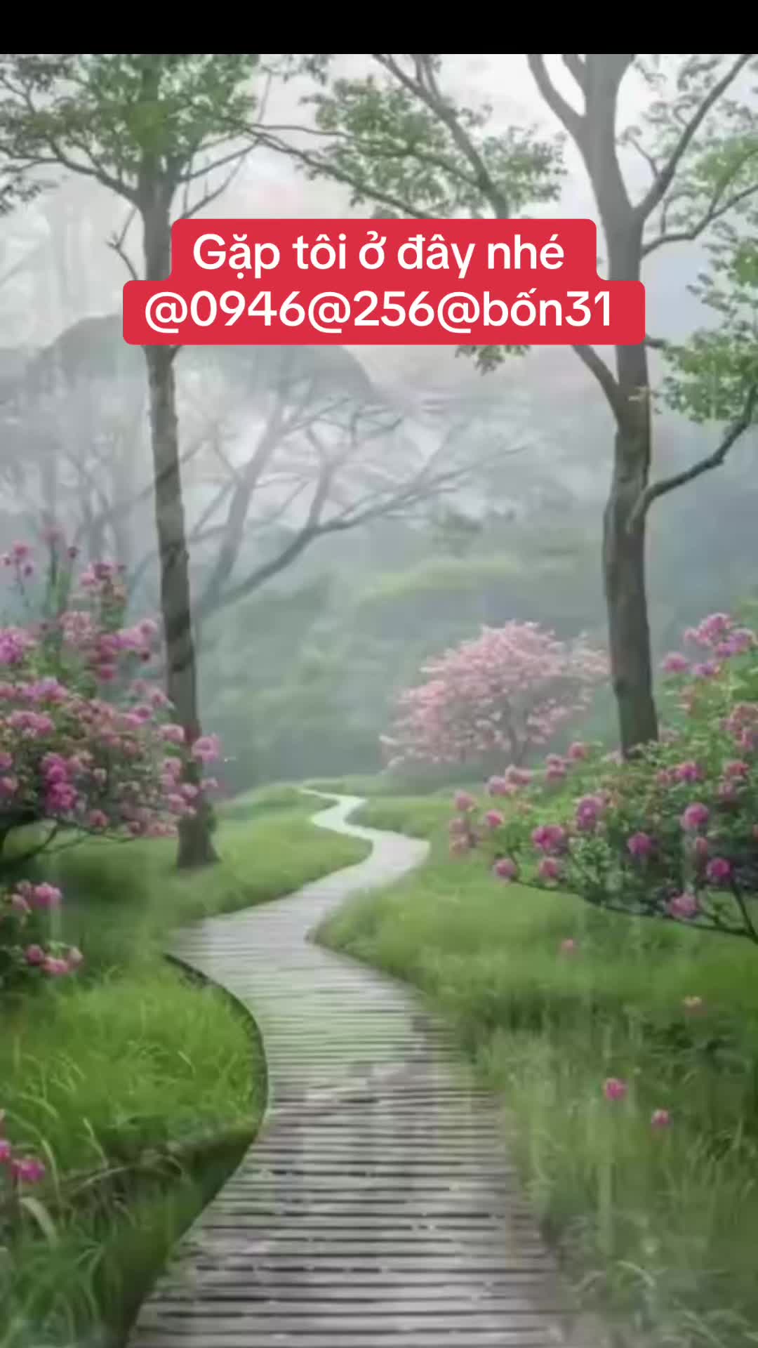 @Hoa Hướng Dương 6768