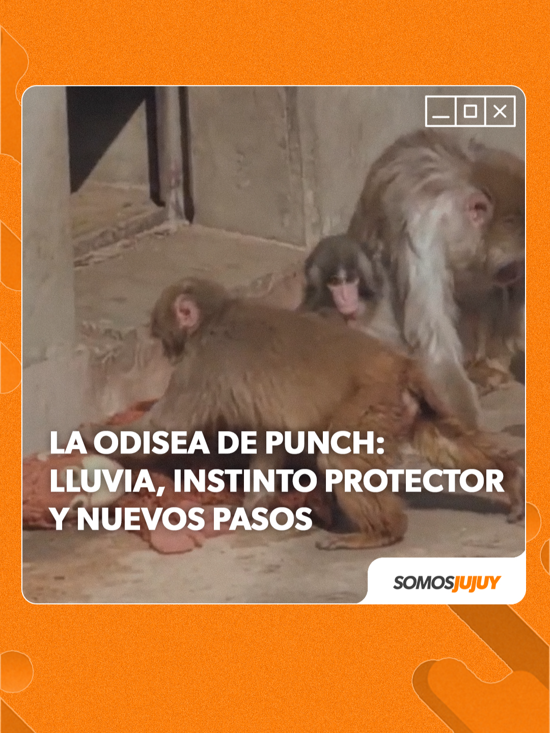 @Somos Jujuy