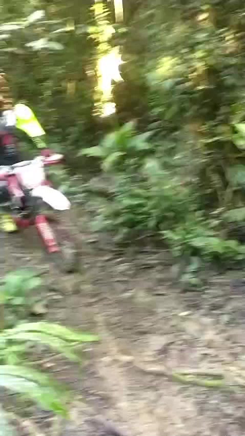 @Daniel De Oliveira D