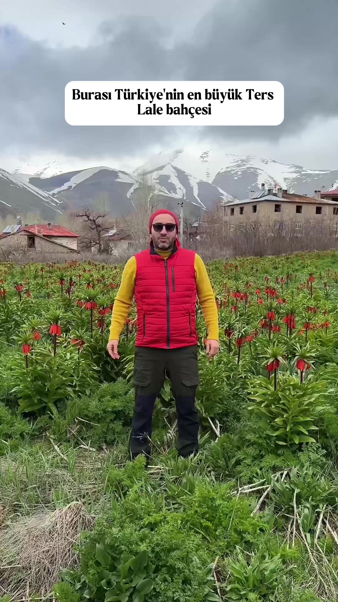 @Muzaffer Salcıoğlu