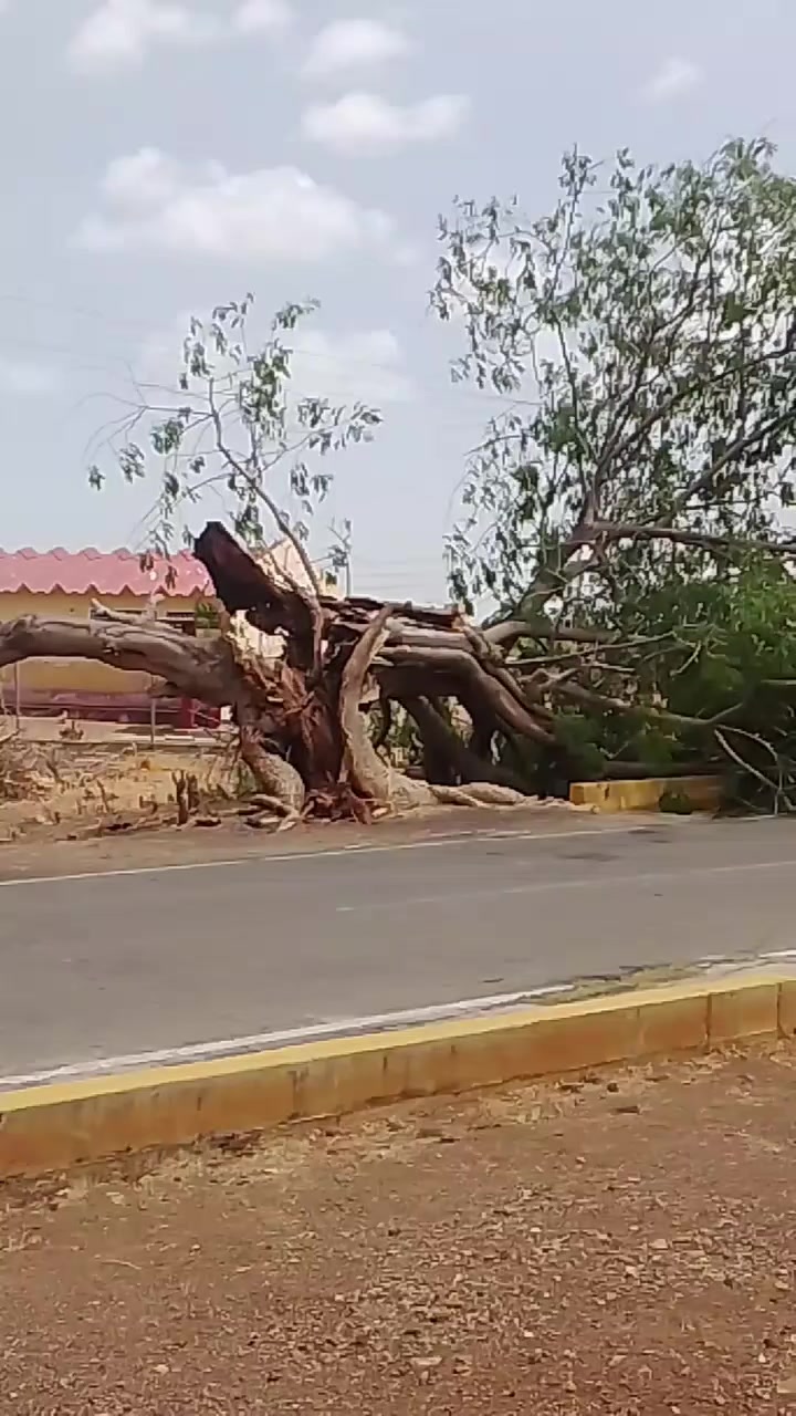 @la liendra en la calle