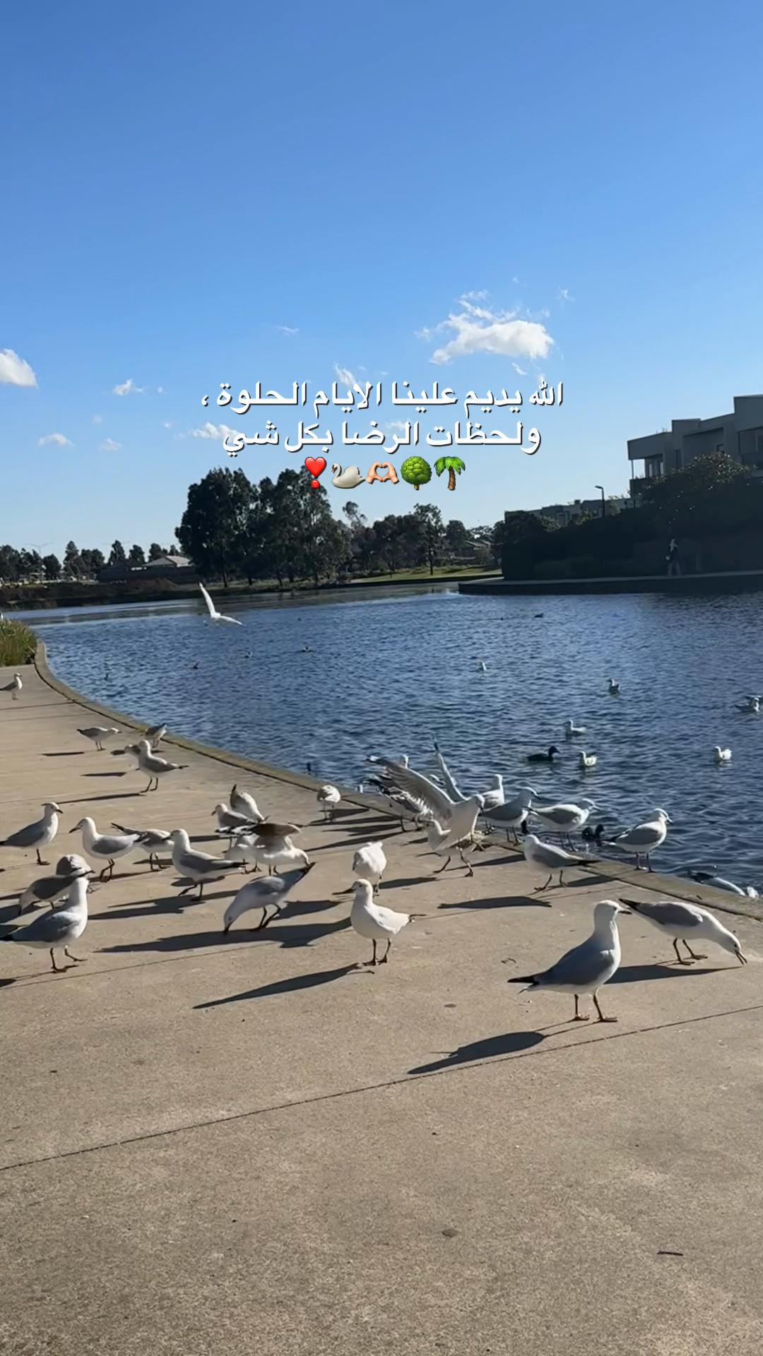 @🇦🇺𝗙𝗮𝘁𝗶𝗺𝗮 ᥫ᭡ .