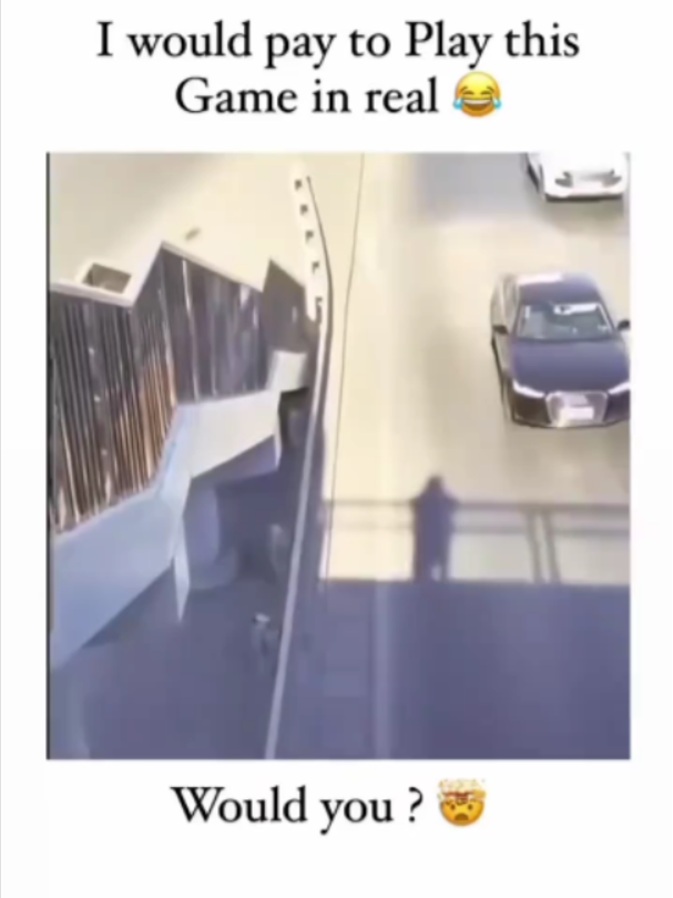 @🛡🥇ᒪIᗷᖇᗩ KIᑎG🥇🛡