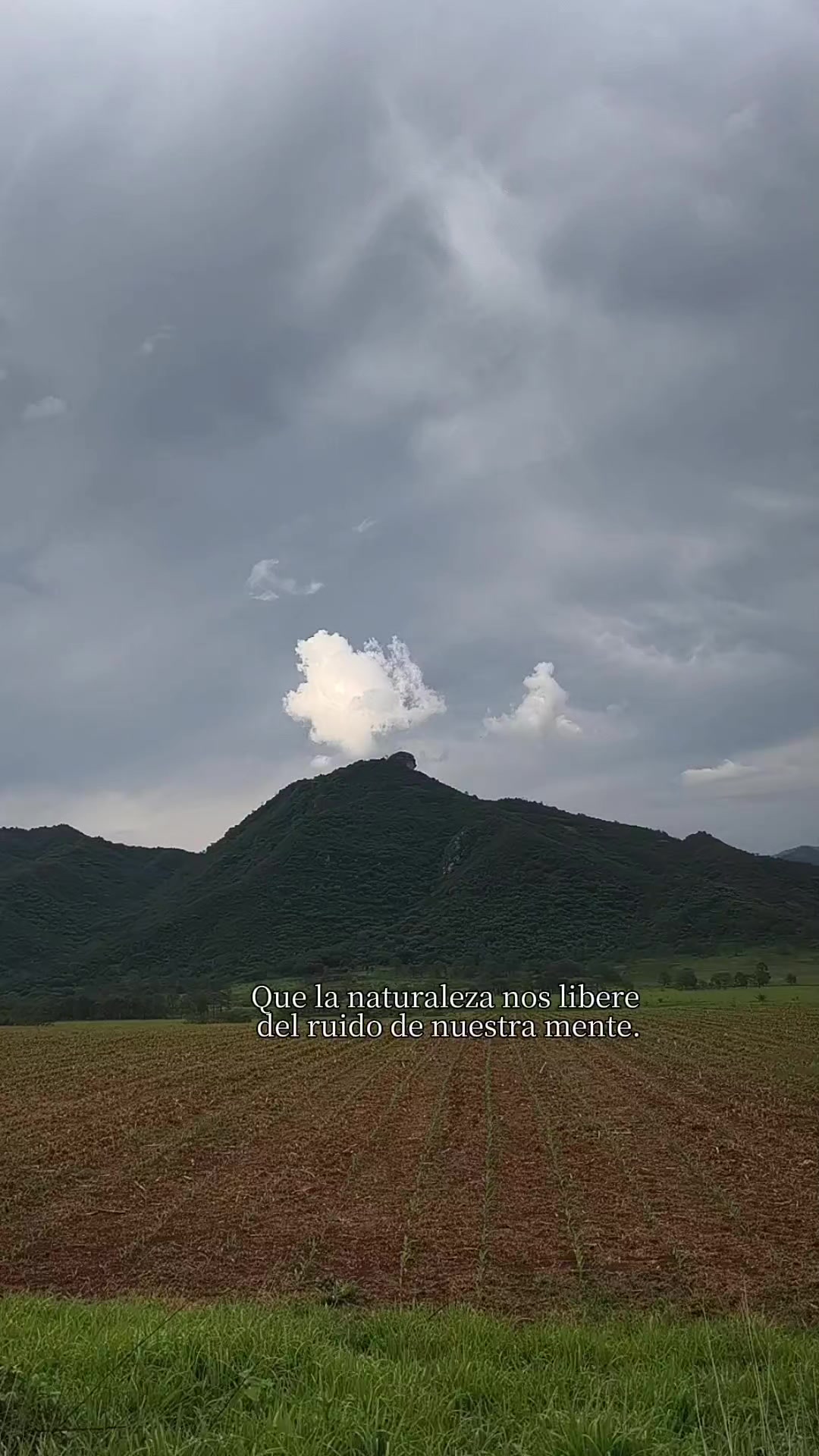 @Mąrįța Pę&ntilde;ą