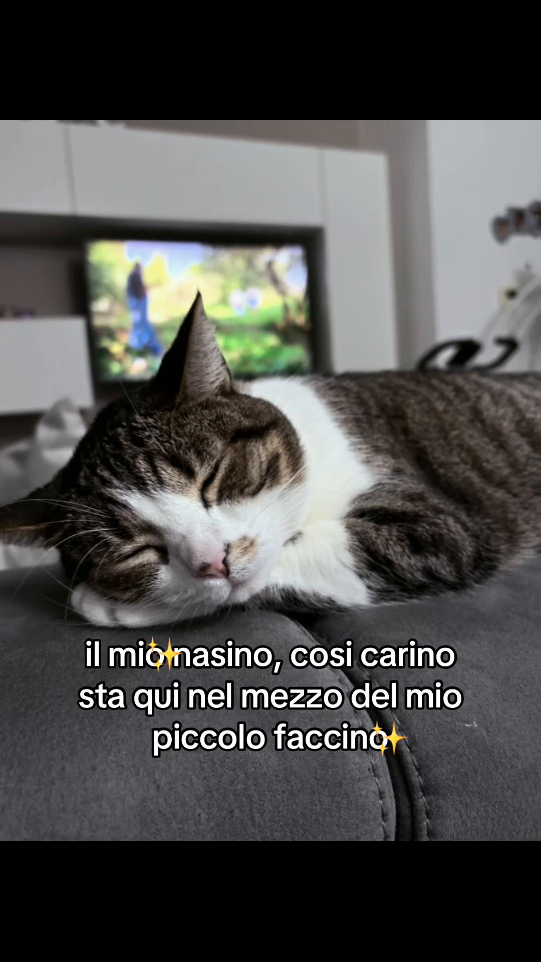 @giulia.spinelli12