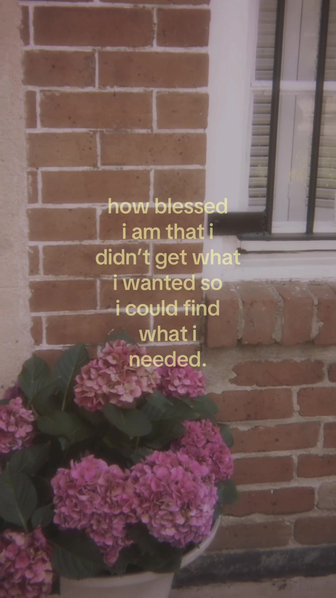 @michaela <3
