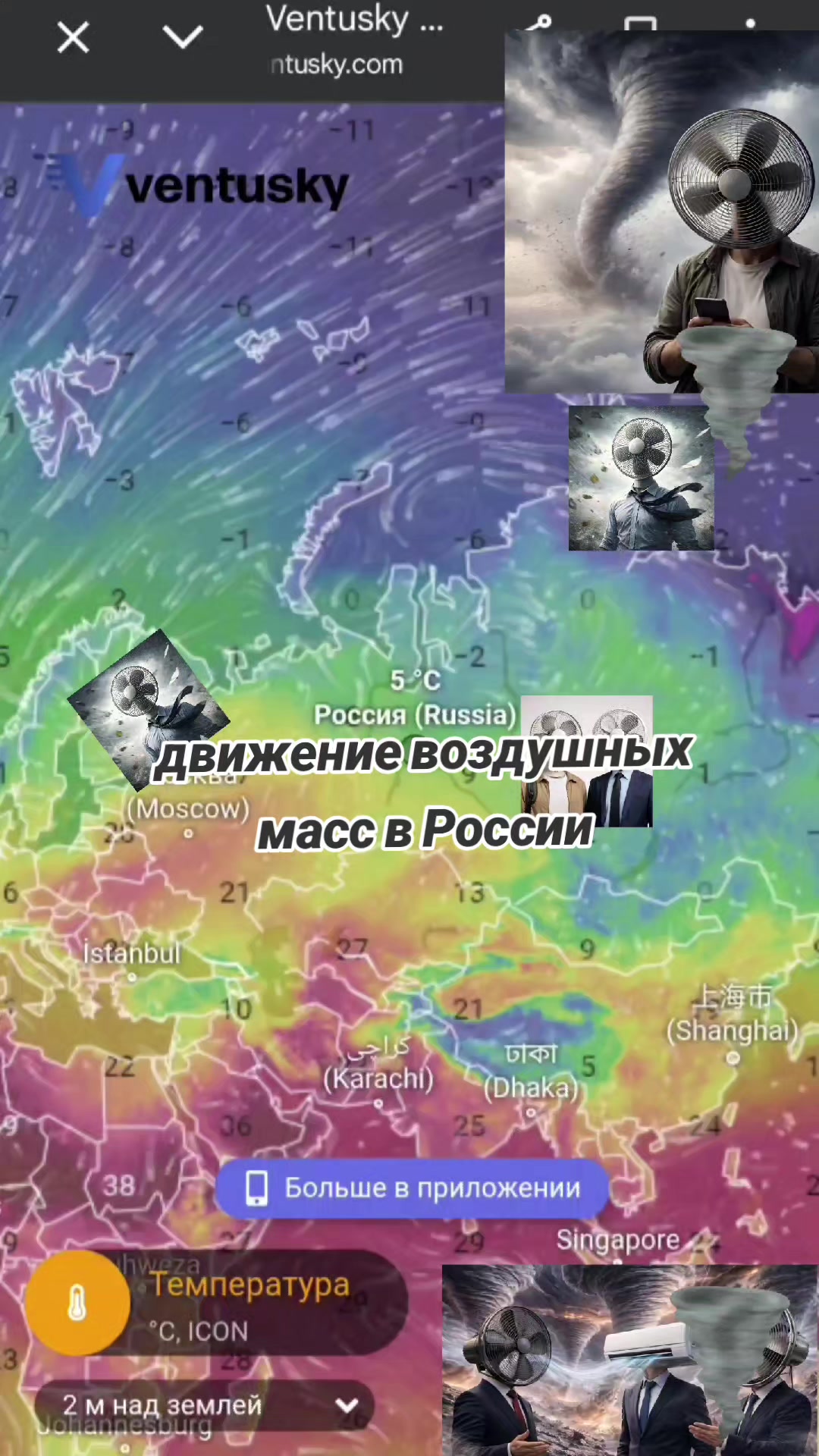 @дочь кабана