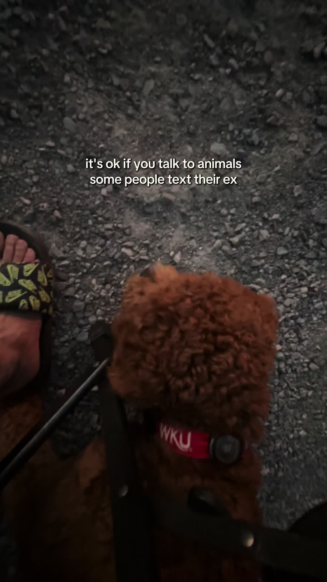 @How to get Ticks