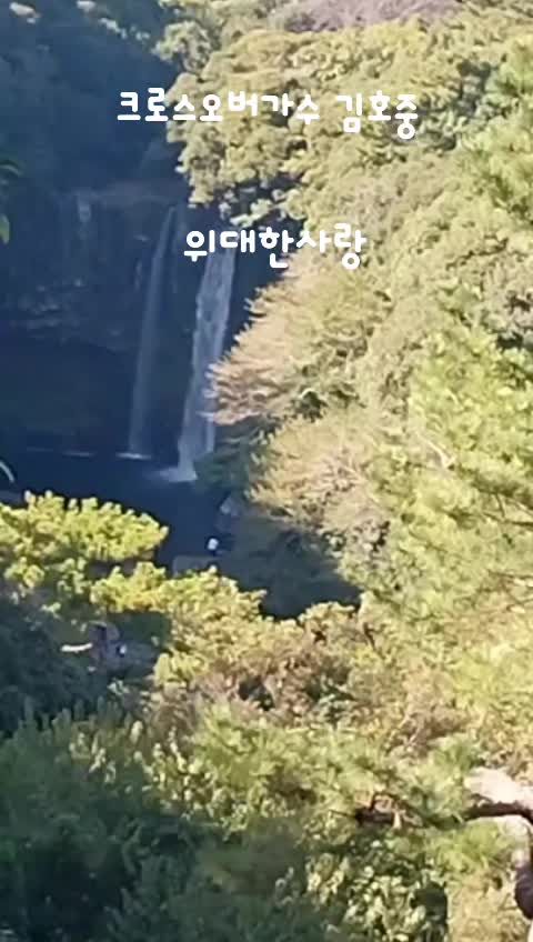 @올리브11