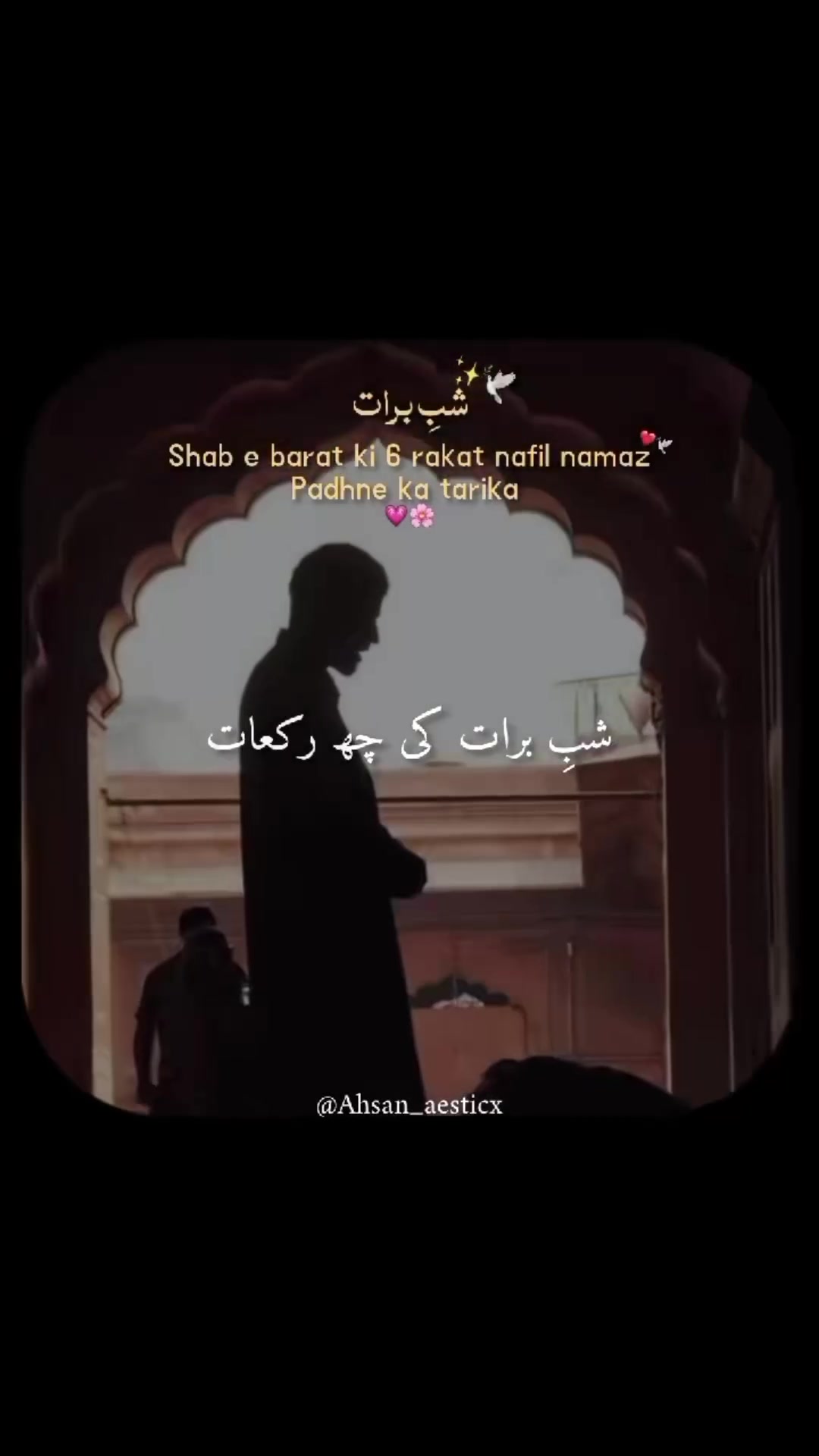 @humza nawab