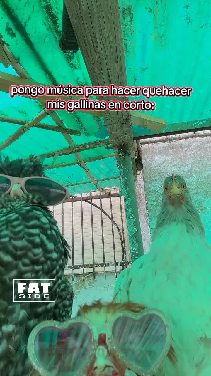 @Fat-$ide