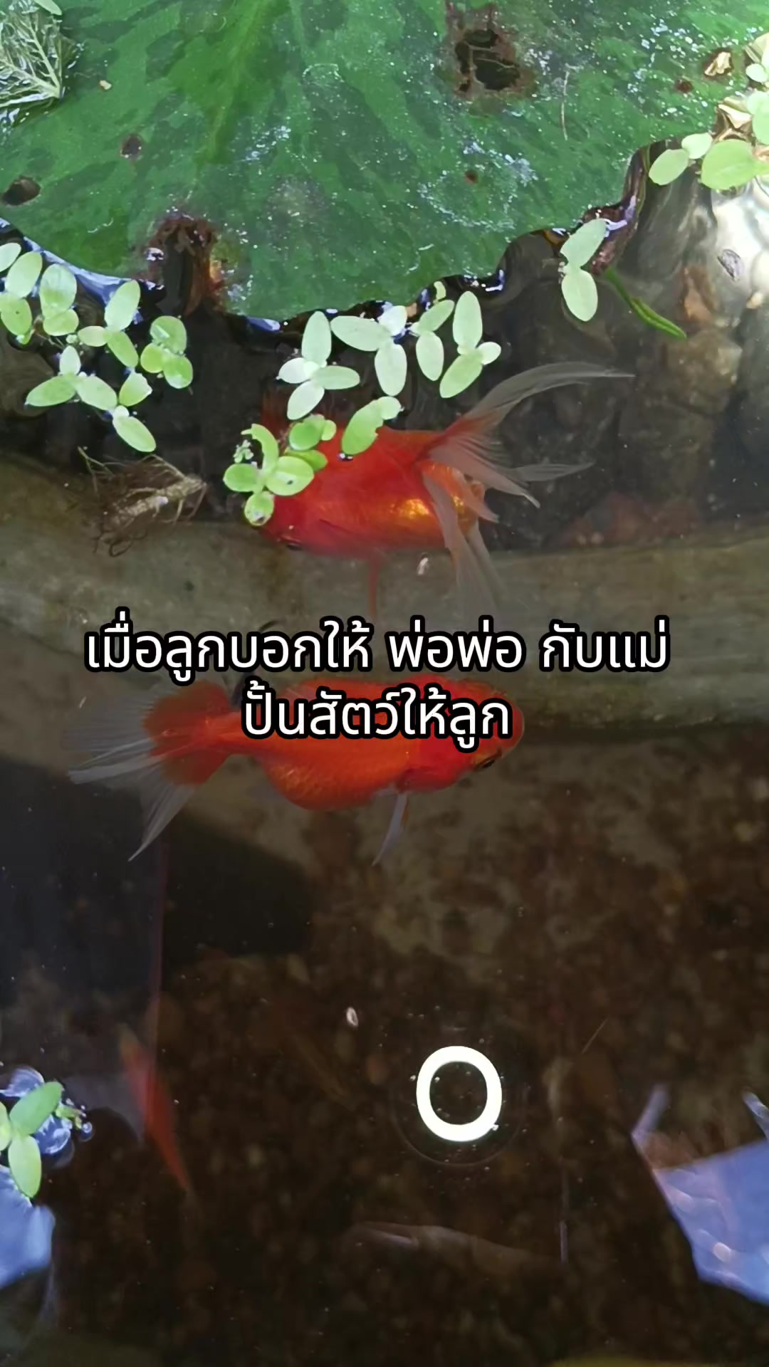 @แม่น้องไดมอนด์