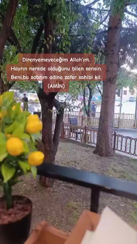 @BABA 👑🤍👑 OĞUL