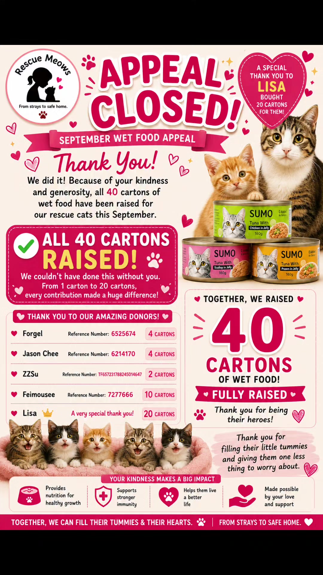 @Rescue Meows 🐈
