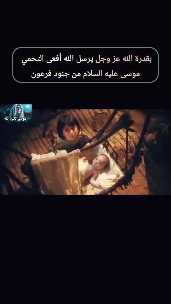@مقتطفات-شامخه⛎