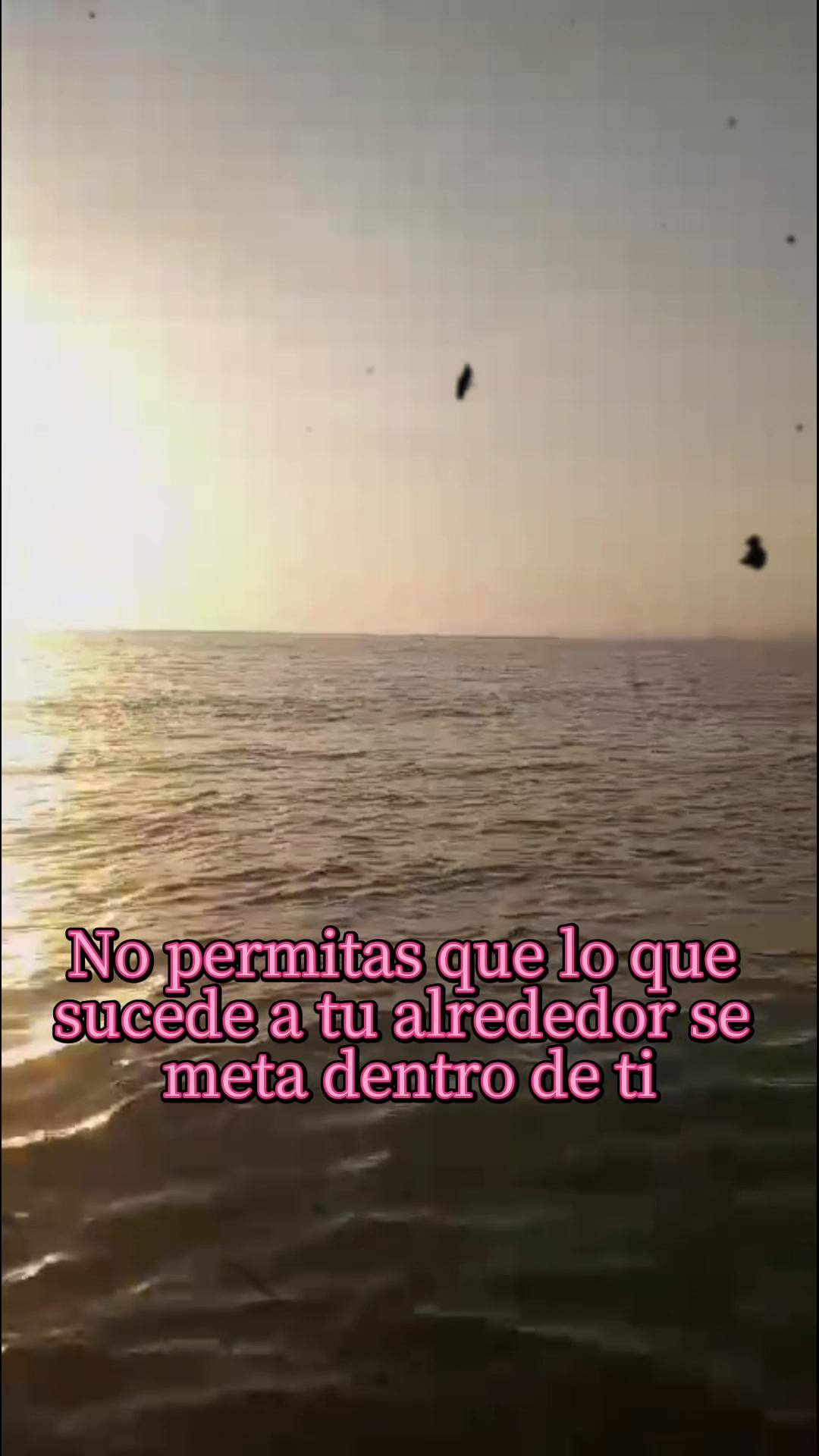 @Sergio