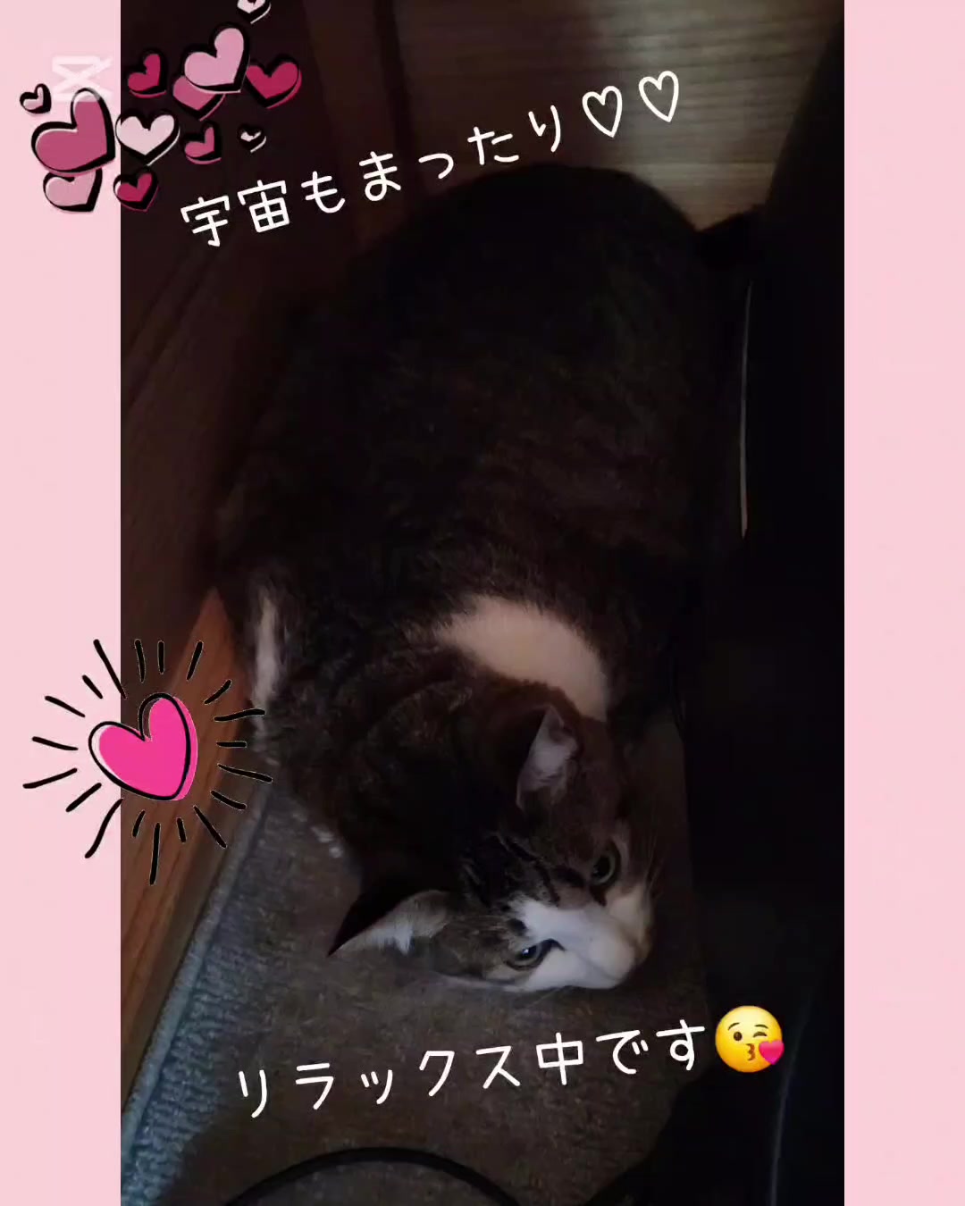 @momo