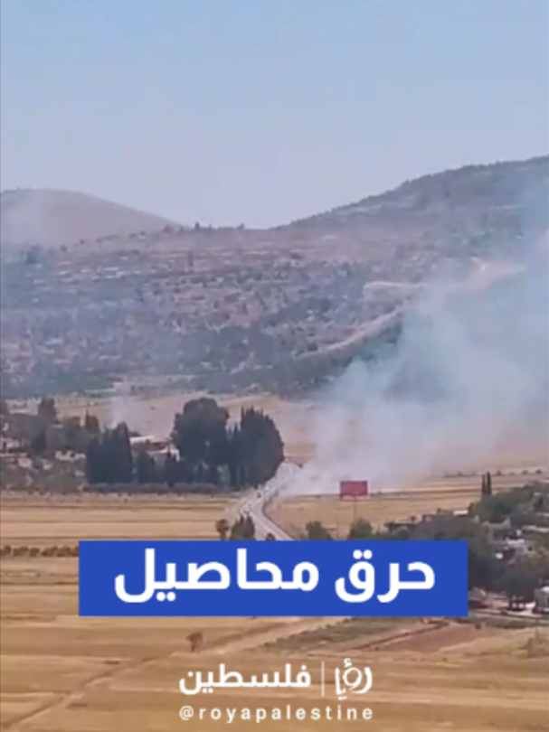 @Royapalestine رؤيا فلسطين