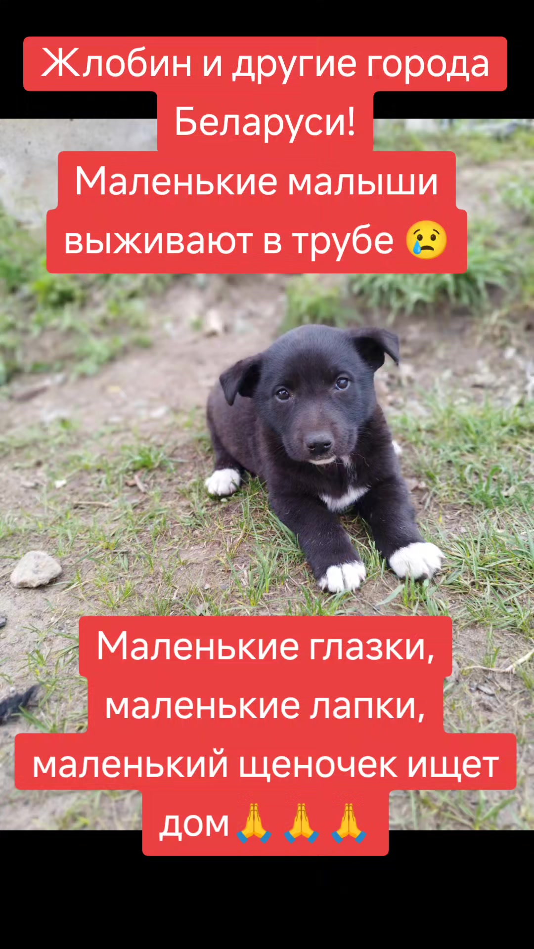 @Светлана Козлова