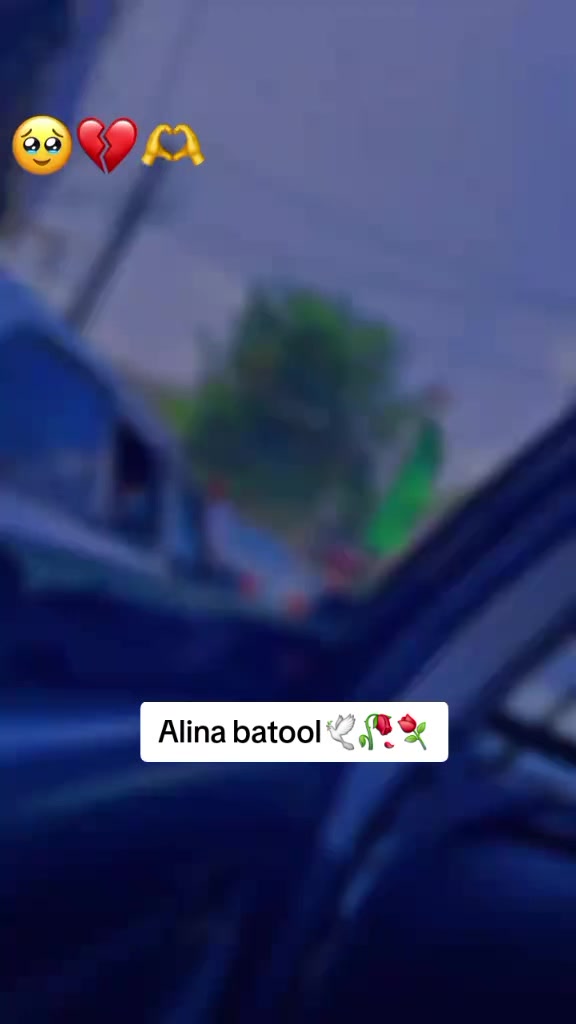 @Alina batool💔🕊🕊❣️