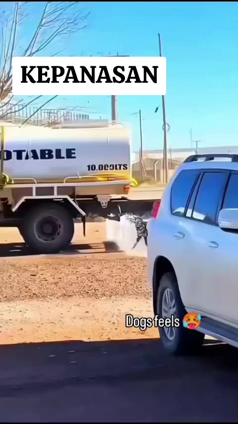 @Dolan