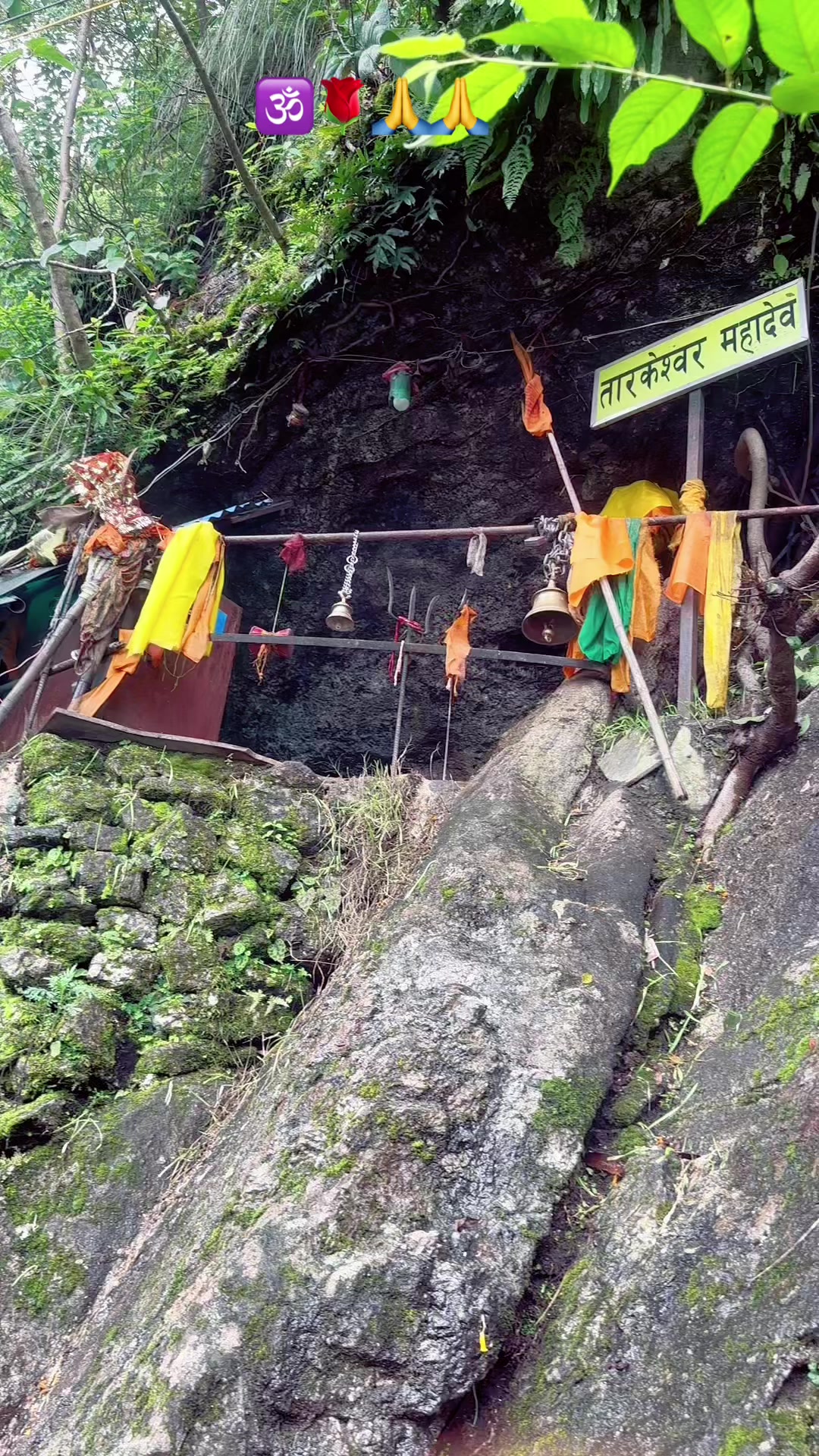 @Urmila Karki Basnet