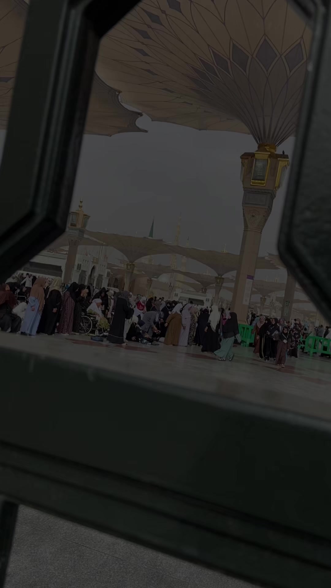 @RabiaAslam469