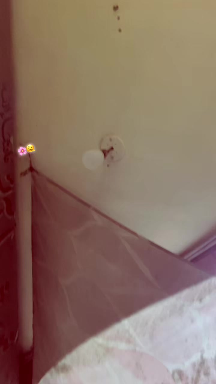 @𓆩 S͢y͢e͢d͢ K͢h͢a͢n͢ 𓆪