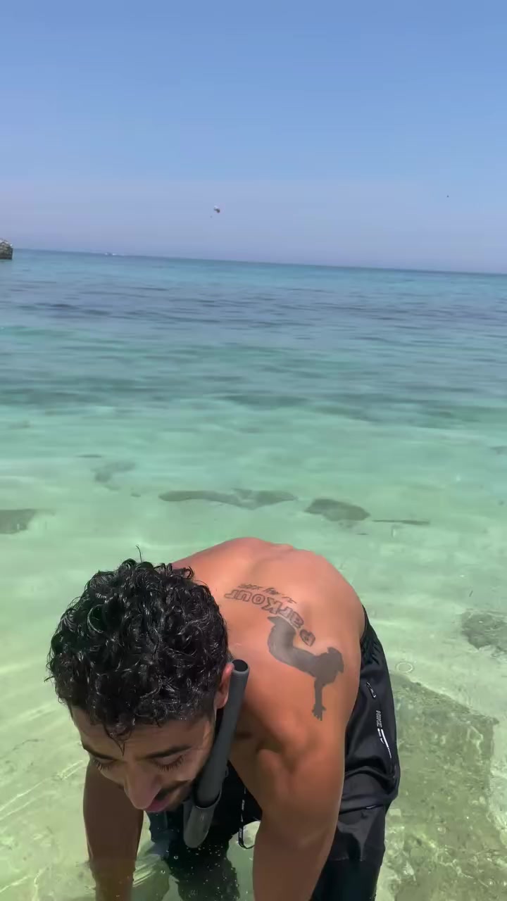 @Shahab Jaberi