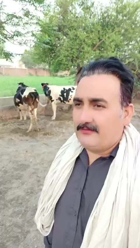 @M Boota virk