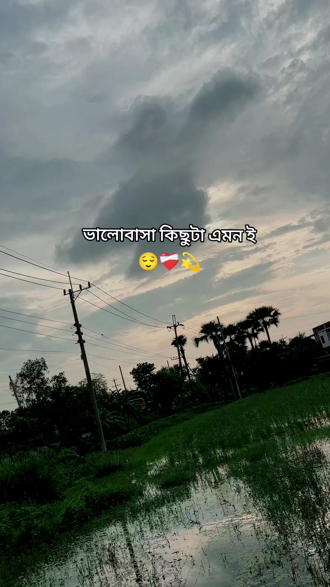 @🦋 ✿ SHAMIM XT ✿ 🦋