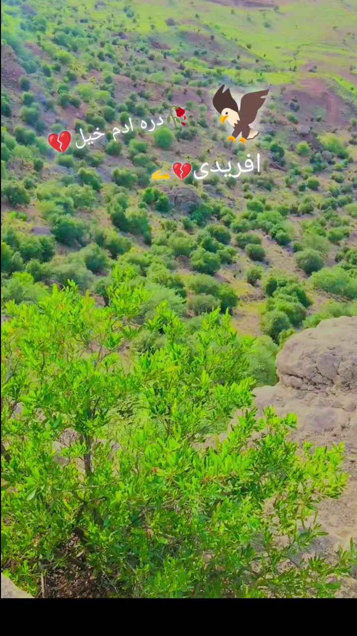 @Faizan _khan 368