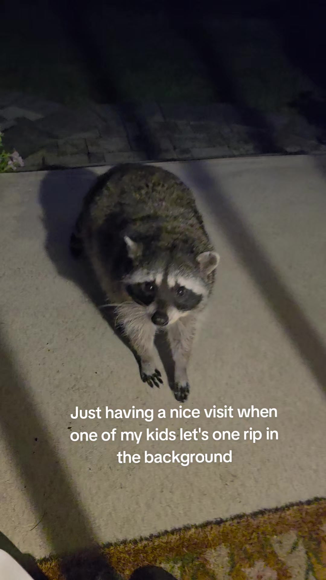 @Raccoon Drive Thru